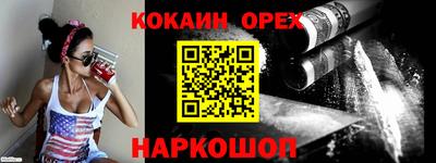 гашик Гусев