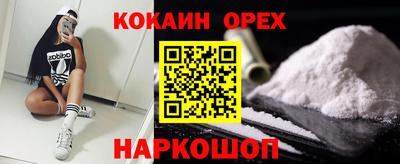 гашик Гусев