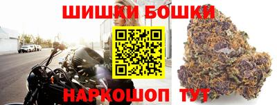 гашик Гусев
