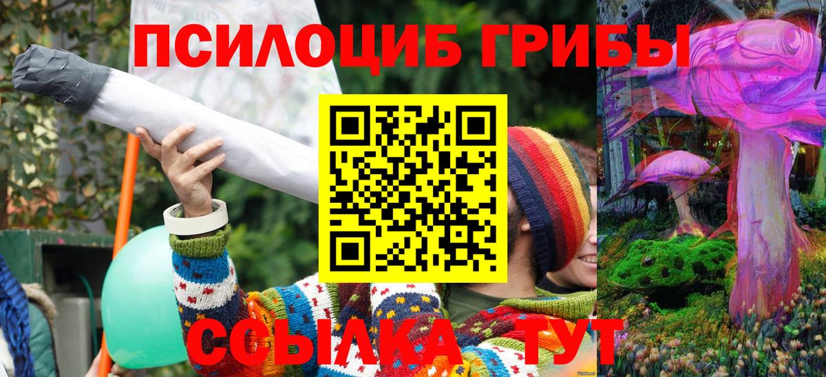 Галлюциногенные грибы Psilocybine cubensis Новоалтайск