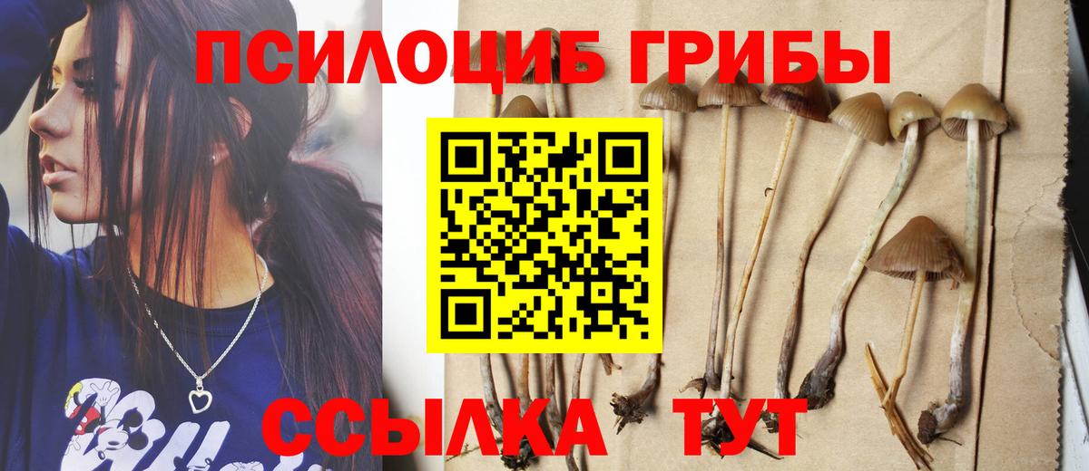 Псилоцибиновые грибы Cubensis  Вход с VPN  цены наркотик  Новоалтайск 